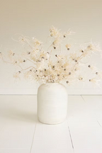 Botanica #2801