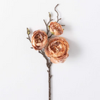 Ranunculus Spray - Cream