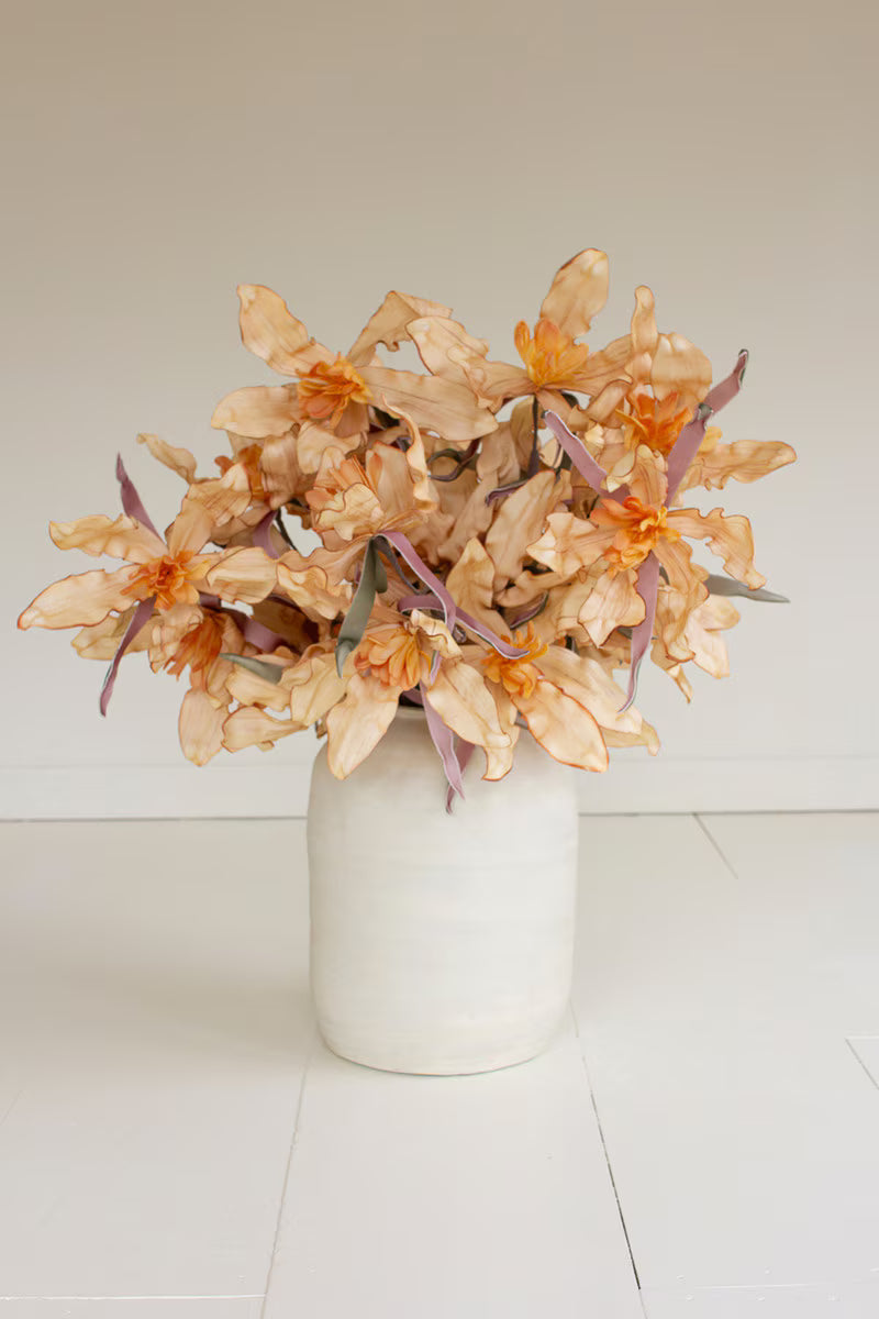 Botanica #3591