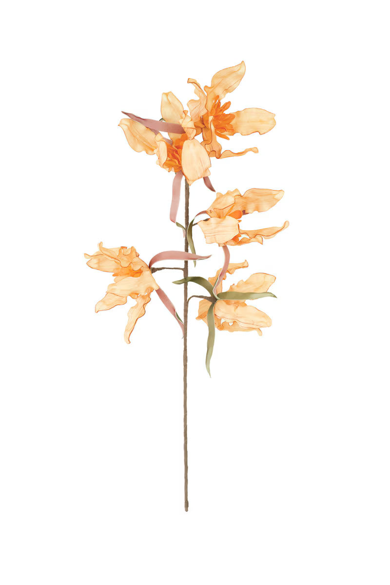 Botanica #3591
