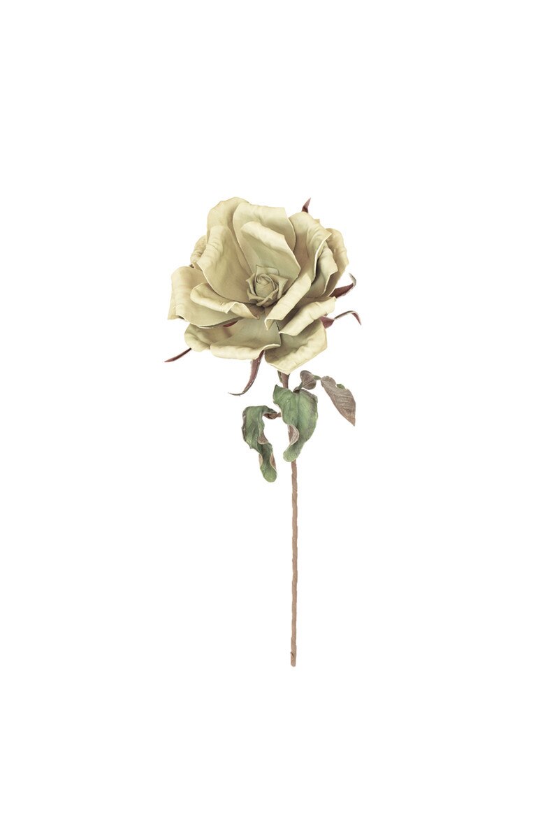 Botanica #3594