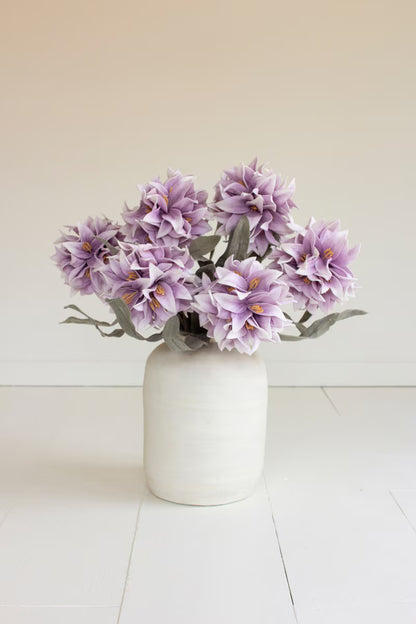 Botanica #2794