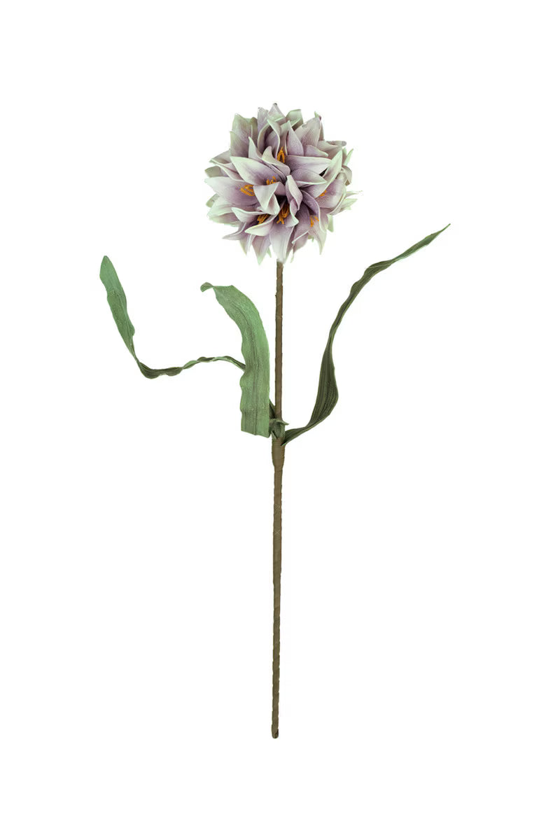 Botanica #2794