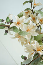 Botanica #2795