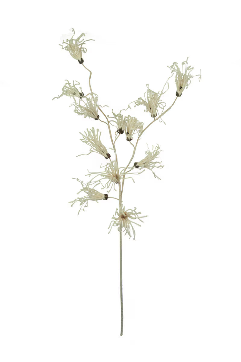 Botanica #2801